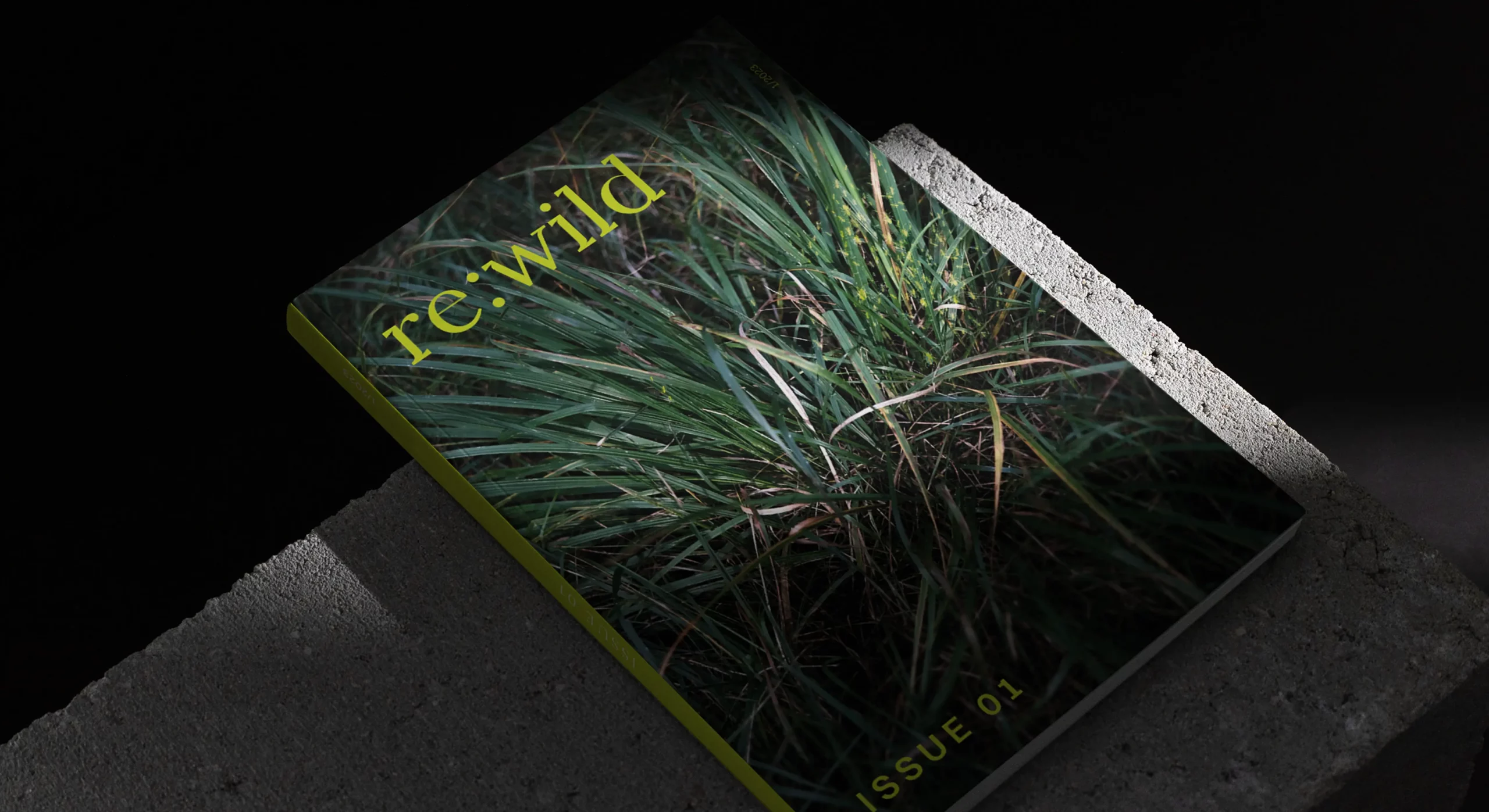 Re Wild Editorial Projekt